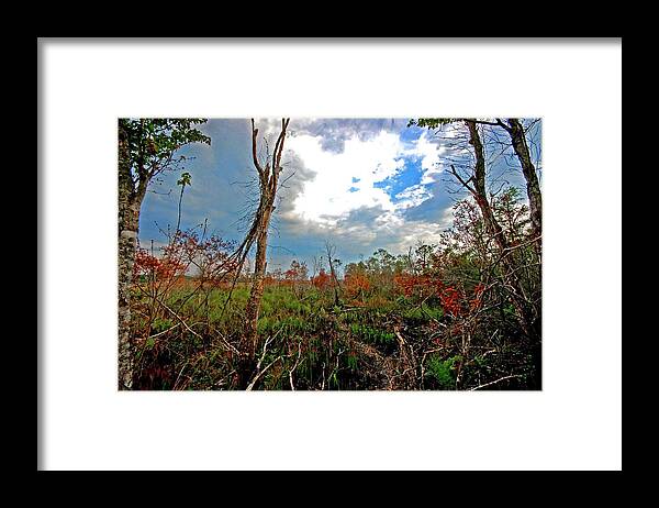 Weeks Bay Framed Print featuring the painting Weeks Bay Swamp by Michael Thomas