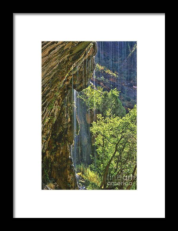 Southwest Framed Print featuring the photograph Weeping Rock - Zion Canyon by Sandra Bronstein