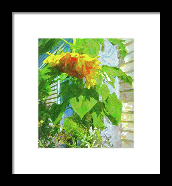 Sunflower Framed Print featuring the photograph Welcome Home by Susan Crowell