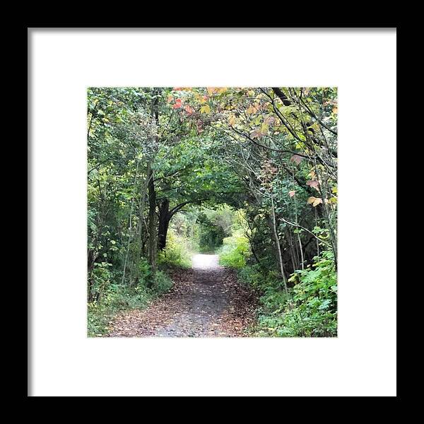 Path Framed Print featuring the photograph Welcome to the Wooded Path by Vic Ritchey