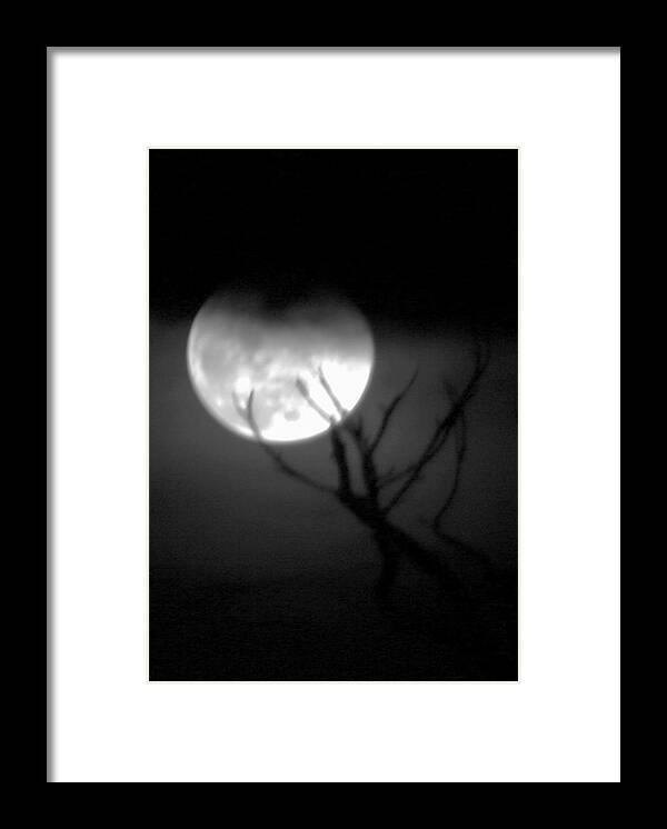 Photo For Sale Framed Print featuring the photograph Werewolf Moon by Robert Wilder Jr
