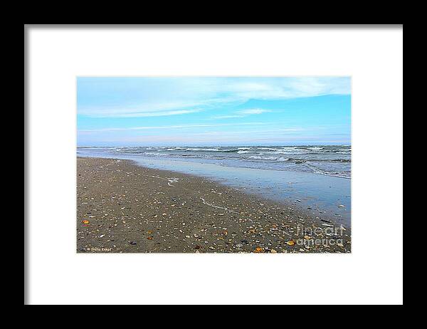 Art Framed Print featuring the photograph West End Seashells by Shelia Kempf