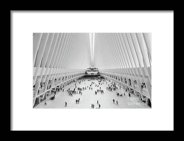 Clarence Holmes Framed Print featuring the photograph Westfield World Trade Center II by Clarence Holmes