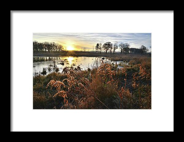 Glacial Park Framed Print featuring the photograph Wetland Sunrise in Hackmatach National Wildlife Refuge by Ray Mathis
