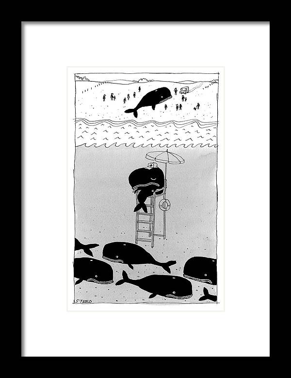 Whale Framed Print featuring the drawing Whale Lifeguard by Edward Steed