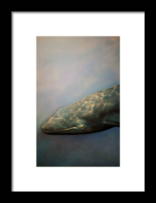 Jez C Self Framed Print featuring the photograph Whale Meet Again by Jez C Self