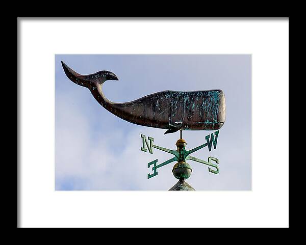 Whale Framed Print featuring the photograph Whale Weather Vane by Derek Dean