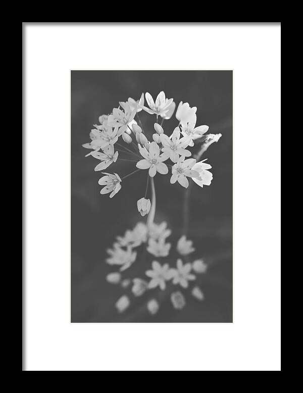 Flowers Framed Print featuring the photograph What the Heart Wants by Laurie Search