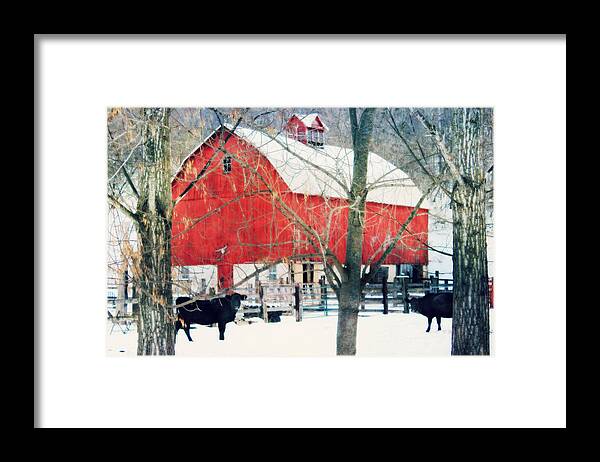 Farmhouse Dcor Framed Print featuring the photograph Whatcha Looking At by Julie Hamilton