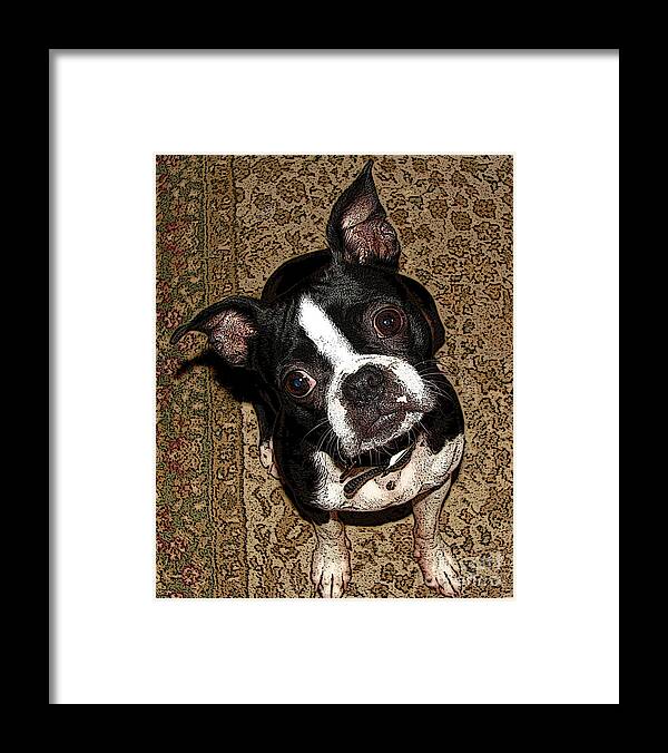 Dog Framed Print featuring the photograph Whats Up Rams by Deborah Johnson
