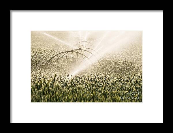 Agricultural Framed Print featuring the photograph Wheat Crop Being Irrigated in Central Oregon by Bryan Mullennix