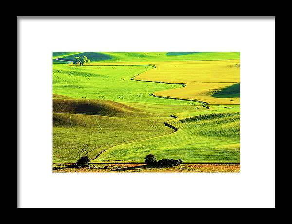 Landscape Framed Print featuring the photograph Wheat field - Palouse by Hisao Mogi