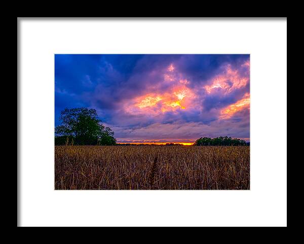 Sunset Framed Print featuring the photograph Wheat Field Sunset by Brad Boland