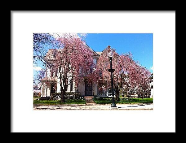 House Framed Print featuring the photograph Wheeping Cherry House by Annie Walczyk