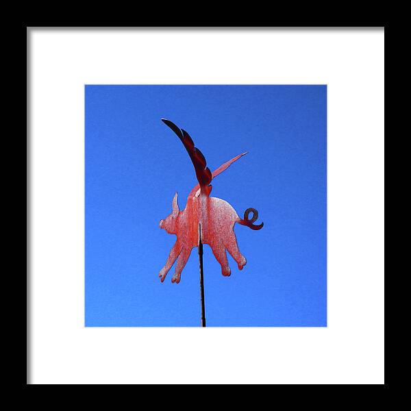 Pig Framed Print featuring the photograph When Pigs Fly by Alan Socolik