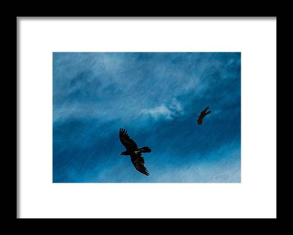 When Ravens Come Calling Framed Print featuring the photograph When Ravens Come Calling by Bonnie Follett