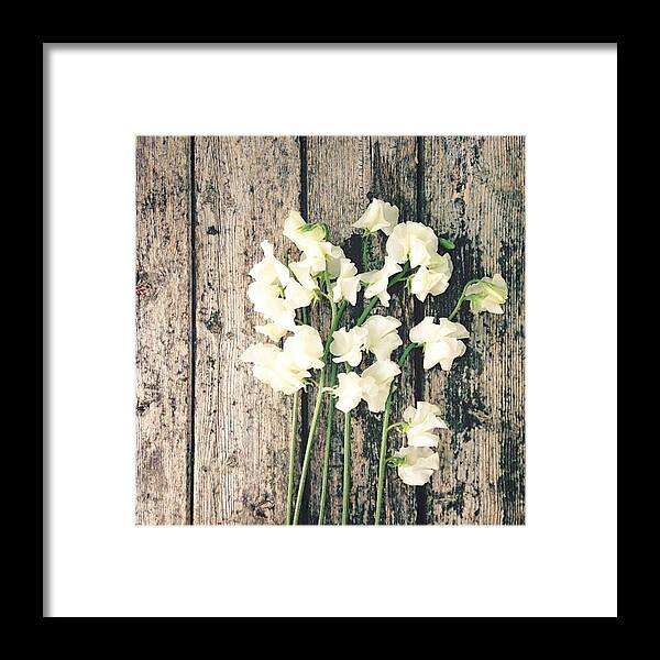 Flowers Framed Print featuring the photograph With Someone For A While by Naomi Ostroumoff