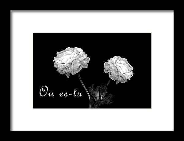 Flower Framed Print featuring the photograph Where Are You by Cecil Fuselier