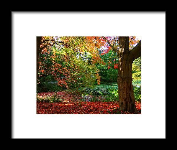 Autumn Framed Print featuring the photograph Where Autumn Lingers by Connie Handscomb