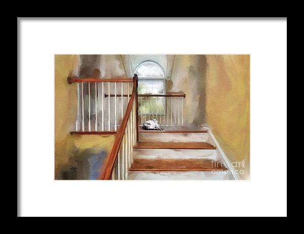 Step Framed Print featuring the digital art Where's Kitty by Lois Bryan