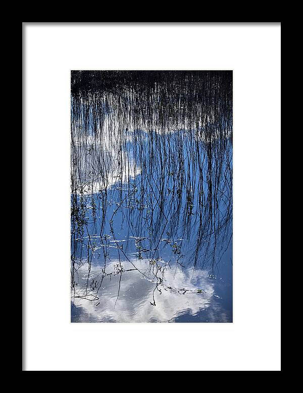 Fine Art Framed Print featuring the photograph Which Way Is Up by Carolyn Marshall