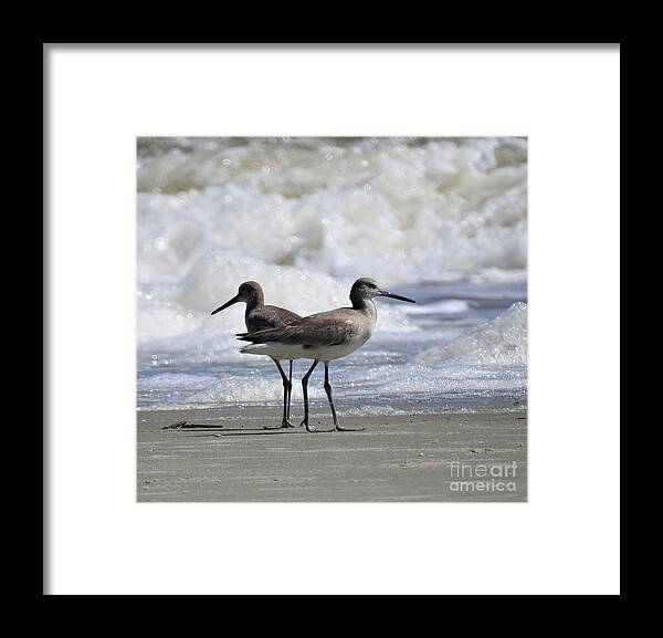 Coastal Framed Print featuring the photograph Which Way by Jan Gelders
