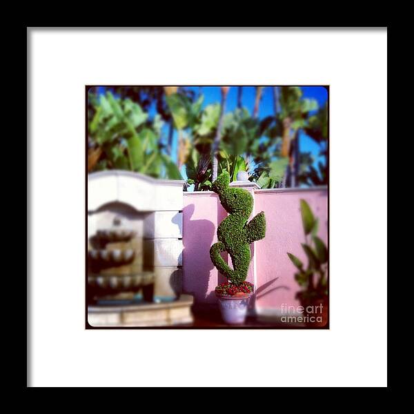 Seahorse Framed Print featuring the photograph Whimsy by Denise Railey