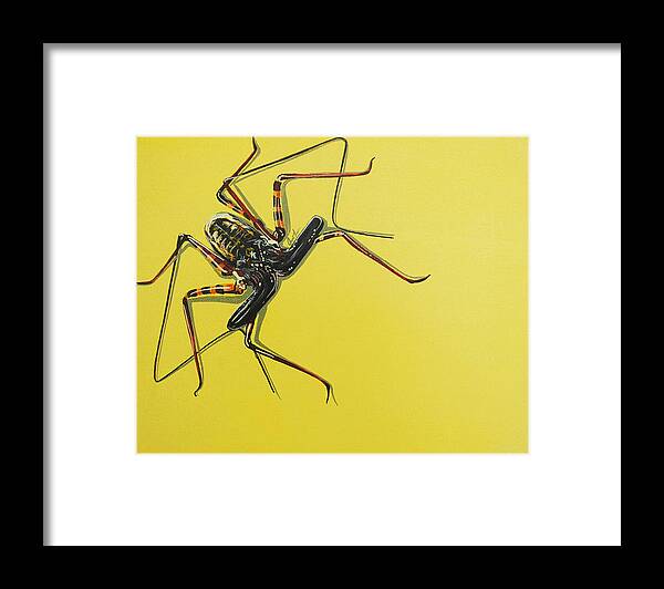 Spider Framed Print featuring the painting Whip Scorpion by Jude Labuszewski