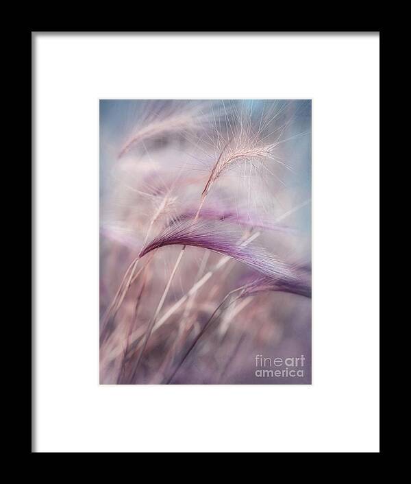 Barley Framed Print featuring the photograph Whispers In The Wind by Priska Wettstein