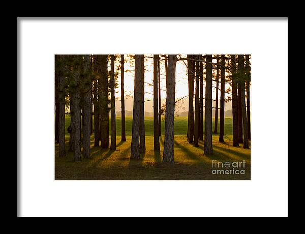 Landscape Framed Print featuring the photograph Whispers of the Trees by Inspired Arts