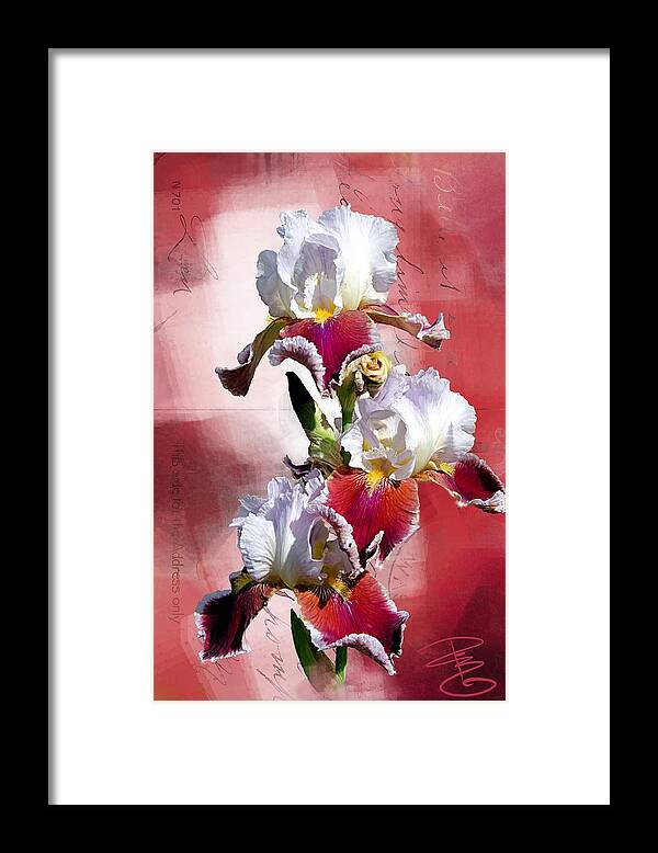 Beautiful Framed Print featuring the digital art White and Burgundy Irises by Debra Baldwin