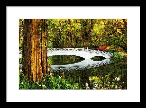 White Azalea Bridge Framed Print featuring the photograph White Azalea Bridge by Ken Barrett
