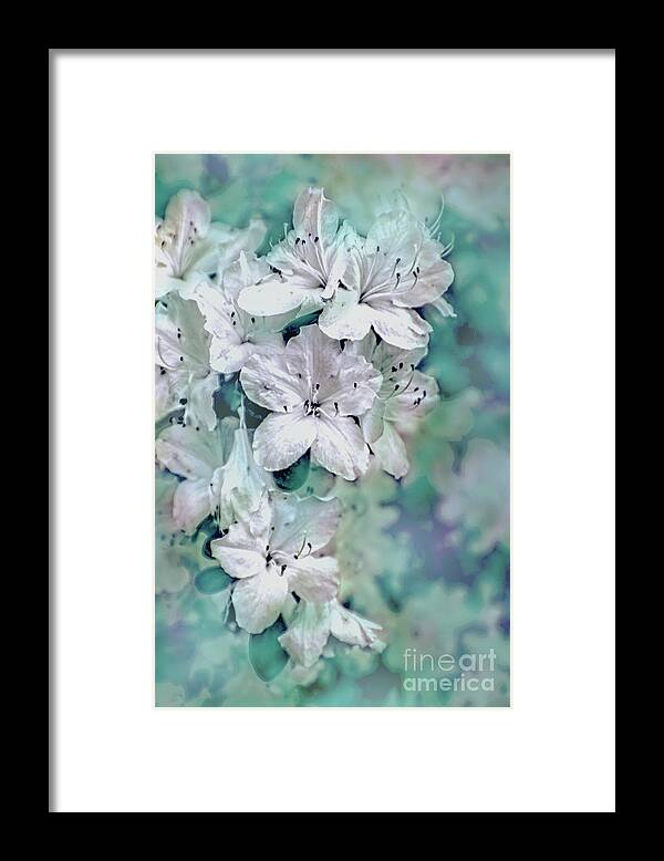 Azalea Framed Print featuring the photograph White Azaleas by Sandy Moulder