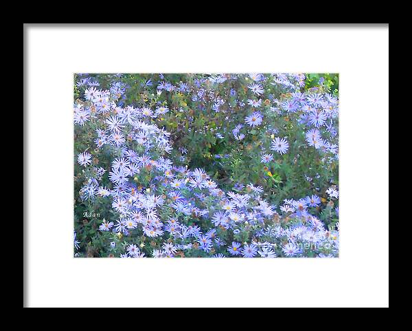 Flowers Framed Print featuring the photograph White Blue Cluster by Felipe Adan Lerma