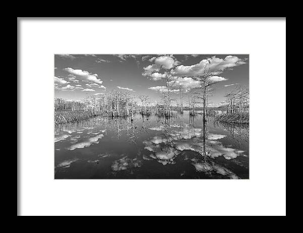 Clouds Framed Print featuring the photograph White Clouds over the Everglades Black and White by Debra and Dave Vanderlaan