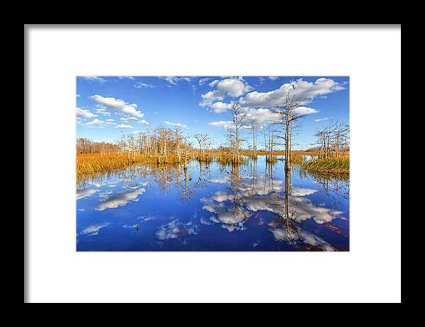 Clouds Framed Print featuring the photograph White Clouds over the Everglades by Debra and Dave Vanderlaan