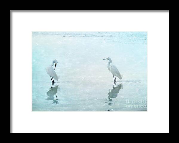 Bird Framed Print featuring the photograph White Cranes - Blue by Hannes Cmarits