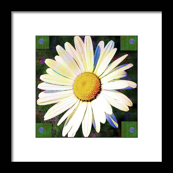 Flower Framed Print featuring the digital art White Daisy Bud by Rod Whyte