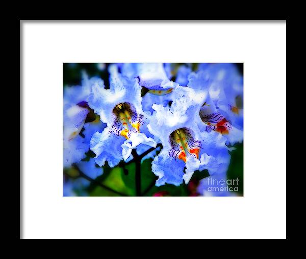 Flowers White Flower Photo Photograph Treated Photoshop Art Artified Artist Craig Walters Framed Print featuring the photograph White Flowers by Craig Walters