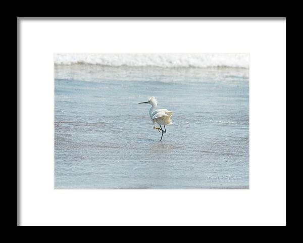 Ocean Framed Print featuring the photograph White Heron On The Beach by Maria Angelica Maira