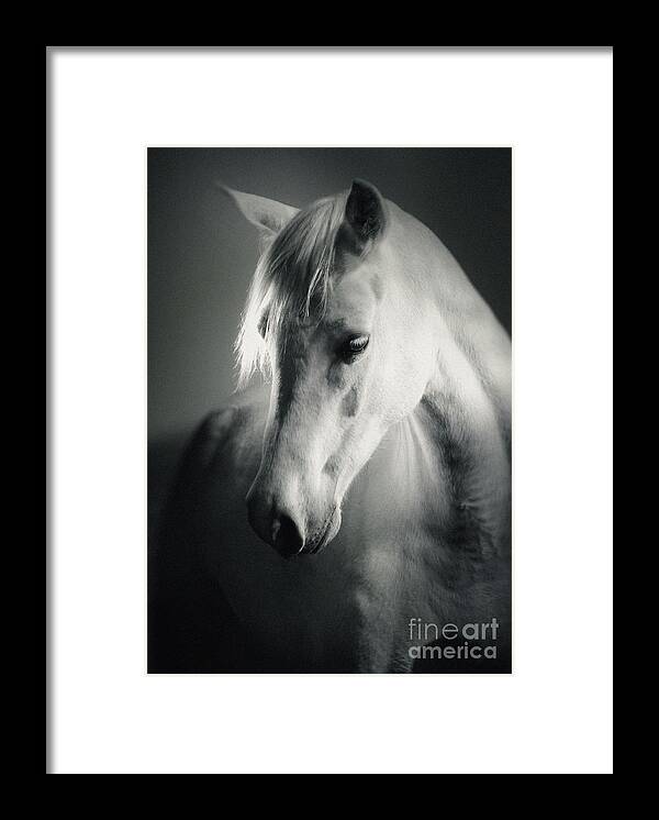 Horse Framed Print featuring the photograph White Horse Head Art Portrait by Dimitar Hristov