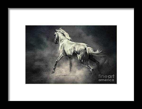 Horse Framed Print featuring the photograph White Horse in Dust Equestrian Beauty by Dimitar Hristov