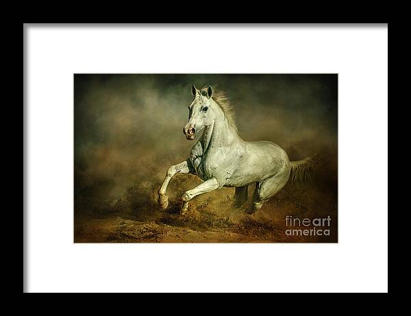 Action Framed Print featuring the photograph White horse Running wild Equestrian art photography by Dimitar Hristov