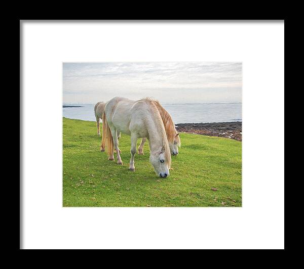 Horse Framed Print featuring the digital art White Horses 2 by Roy Pedersen