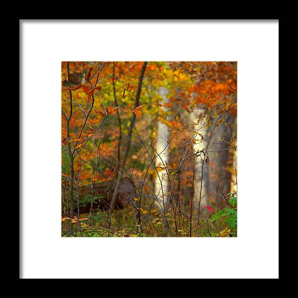 White Light Framed Print featuring the photograph White Light by Edward Smith