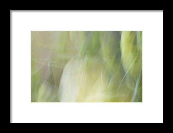 Lisianthus Framed Print featuring the photograph White Lisianthus in Abstract by Cheryl Day