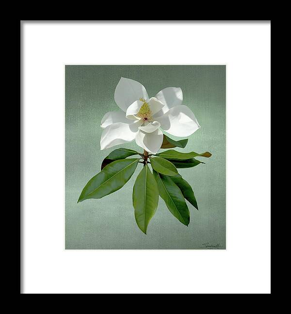 Flower Framed Print featuring the digital art White Magnolia by M Spadecaller