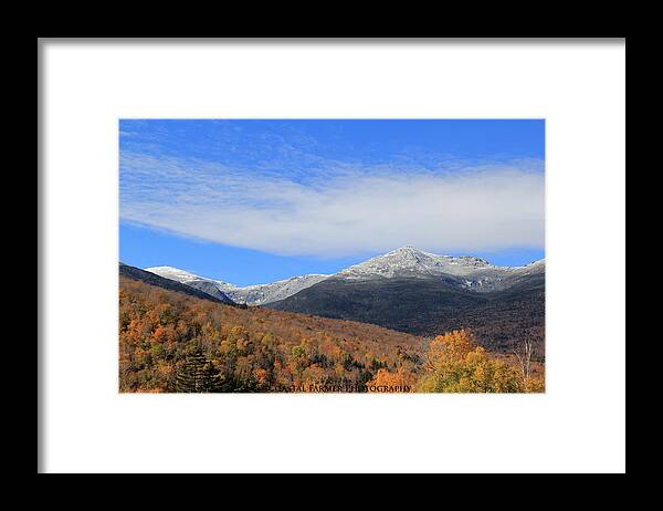 Nature Framed Print featuring the photograph White Mountains by Becca Wilcox
