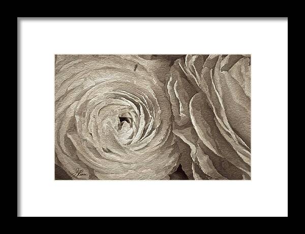 White Textured Roses Framed Print featuring the painting White on White Rose by Joan Reese