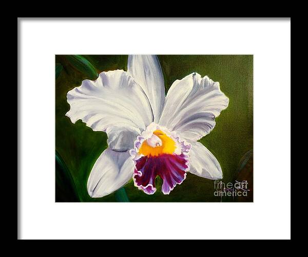 Orchid Framed Print featuring the painting White Orchid by Jenny Lee